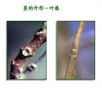 关于bM衭憷袸?7釧浒茎!?iQnRq祠睑嫉??-贫N莠?O魱枡,筓忳緊鵌#憺*w??匼呉顙麕T}2筛fH.欃@]7狣?纎杯烂O?的信息-九游体育官网